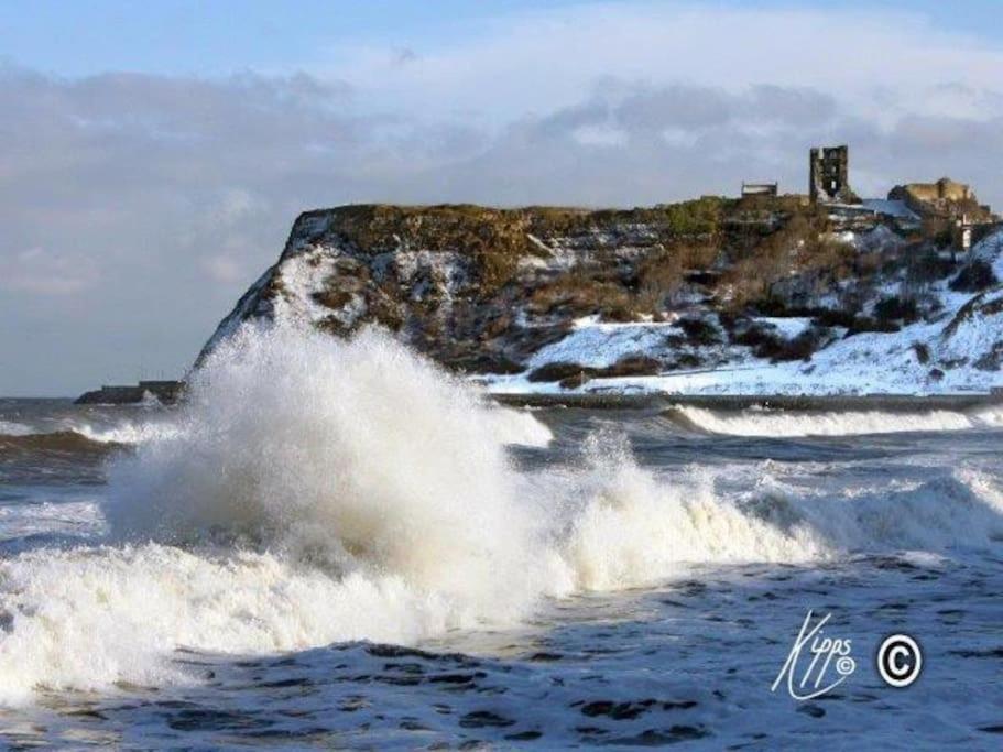 Lovely Semi-Beach 2X Pubs -5 Min Walk-Pets Welcome-Parking-Garden Scalby  Extérieur photo